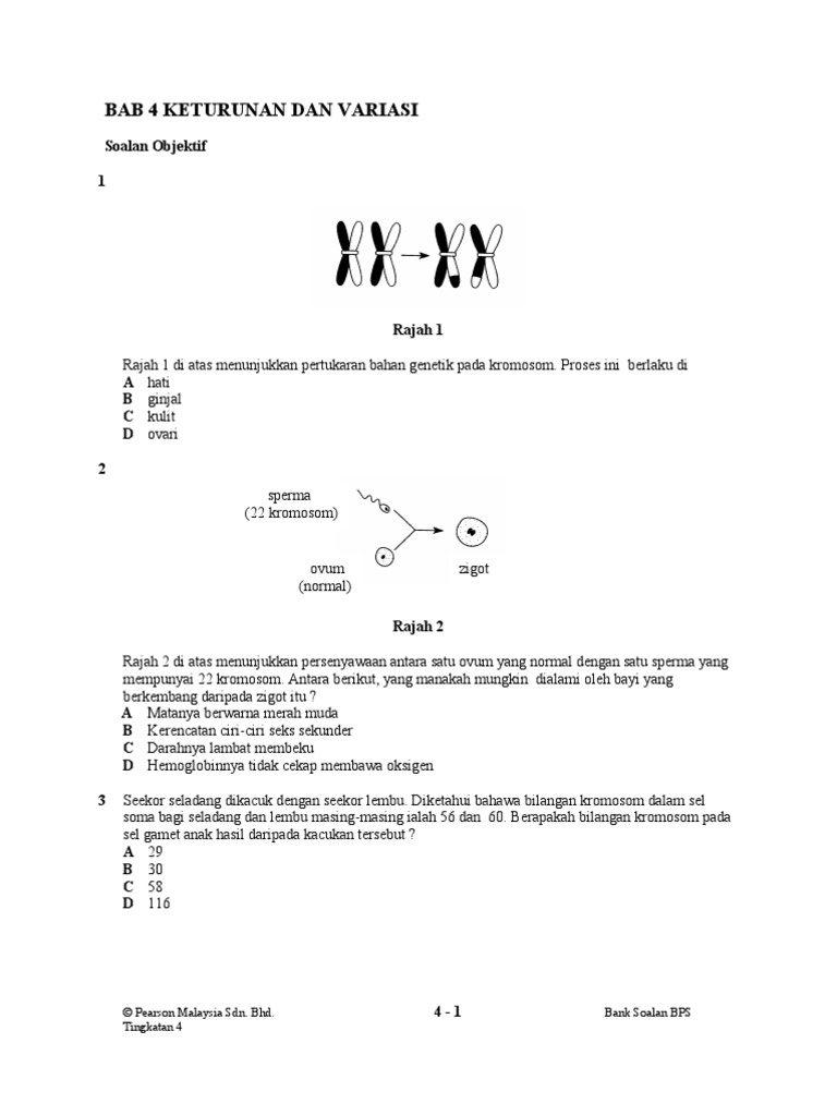 Contoh Soalan Algebra Tingkatan 4  Contoh Nyah