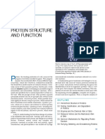 Estructura de Proteínas 