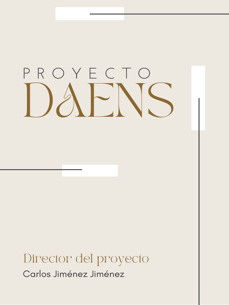 Proyecto Daens | PDF
