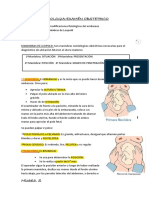 Apunte MICA Completo