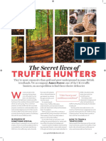 Truffle Hunters - Great British Food High