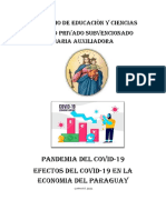 Proyecto Sobre El Impacto Economico de Paraguay Por El Covid 19