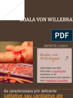 Boala Von Willebrand II