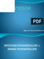 Fizyoloji 5 PDF