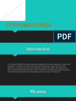 Government Budget