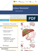 Colestase Neonatal