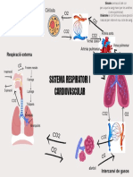 GuerreroIvet - Pràctica 2. Mapa Conceptual PDF