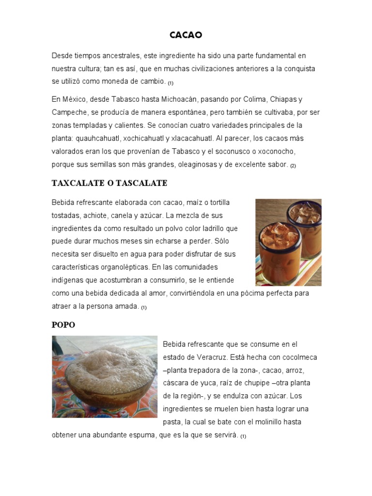 Bebidas A Base de Cacao y Maiz | PDF | Maíz | Chocolate