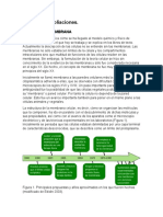 5 La Célula Ampliaciones Modelos de Membrana