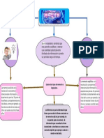 Mapa Conceptual Plantilla 08