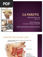 Download CA PAROTIS by MelissaWitjaksono SN61923251 doc pdf