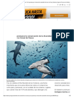 ODS 14. Día Mundial de Los Océanos - Perú Apuesta Por El Desarrollo Sostenible Del Mar de Grau - Noticias - Agencia Peruana de Noticias Andina