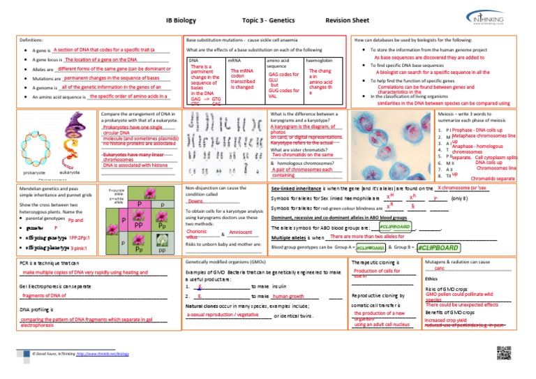 03 Genetics A3 Revision-Sheet A3formatms - Pdfviewer.action Download ...