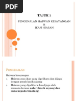 Download PengenalanHaiwanKesayanganDanIkanHiasan1byCoklatCelupSN61923852 doc pdf