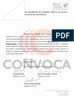 Pedido de Medida Cautelar de Ollanta Humala A La Justicia Brasileña