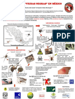 Cartel Latrodectus Latlax Ibunam-Tlaxcala