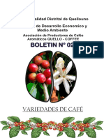 Variedades de café