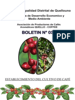 Boletin #03 Establecimiento de Cultivo Café