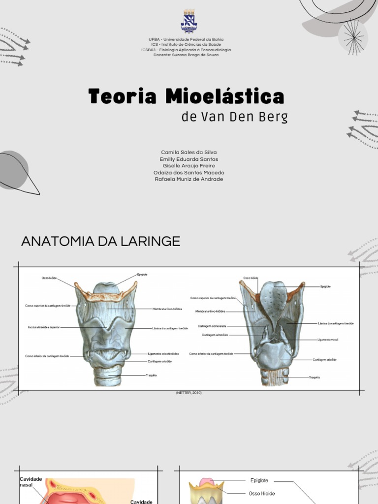Teoria Mioelástica de Van Den Berg - Apresentação | PDF