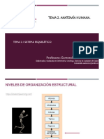 Tema 2.1 Sistema Esquelético