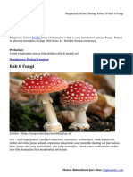 Ringkasan Materi Biologi Kelas 10 Bab 6 Fungi