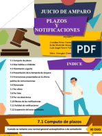 Plazos y Notificaciones