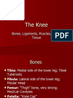 The Knee