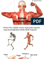 Sistem Muskulo