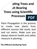 Propagating Trees & Fruit Bearing Plants Using Scientific Processes
