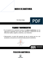 Anatomia 1