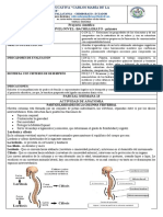 Proyecto Interdiciplinar Parcial 4 Semana 3 de 1ro