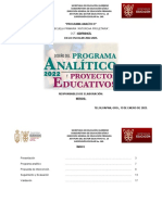 Programa Analítico 145 Formato