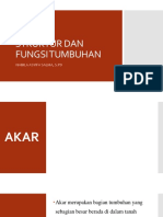 Struktur Dan Fungsi Tumbuhan