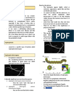 Leptospirosis 1 Merged