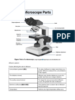 Factors affecting the rate of passive diffusion