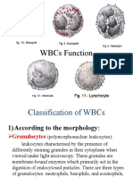 Blood Cells Functions