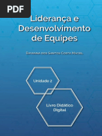 Liderança e Desenvolvimento de Equipes