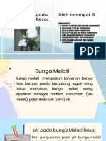 Kelompok 5 Kimia Bunga Melati