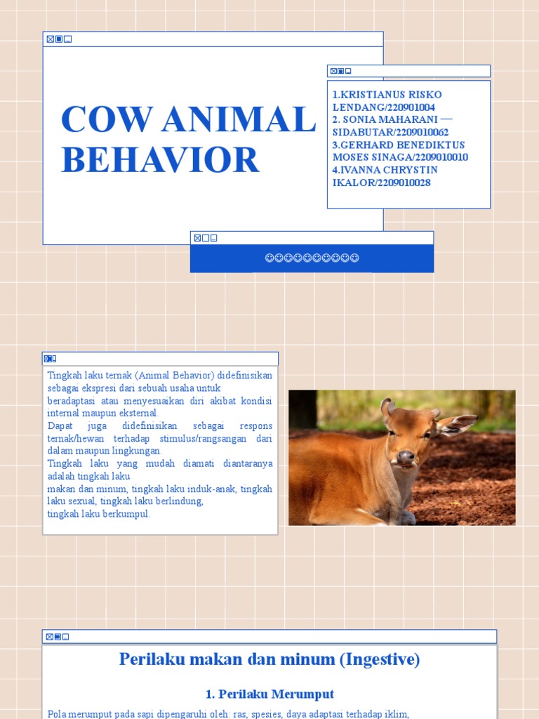 Tingkah Laku Sapi | PDF