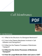 Bio201 Lecture 11 Cell Membranes3