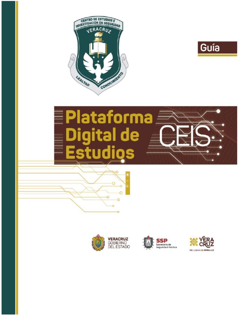 Guía de Acceso a la Plataforma CEIS | PDF | Foro de Internet | Contraseña