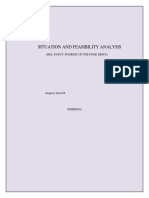 Situation and Feasibility Analysis