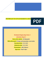 Petroleum Engineering Lab Report on Energy and Momentum Conservation