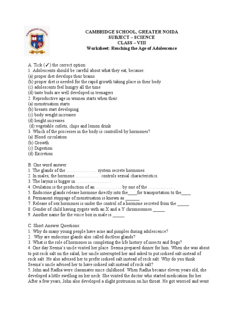 Worksheet Reaching Age of Adoloscence PDF Adolescence Hormone