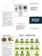 Propiedades y beneficios del aceite de Sacha Inchi para la piel y la salud