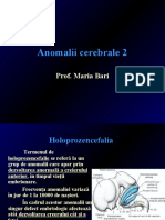 Anomalii Cerebrale 2