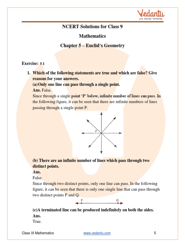Euclid's Geometry: Key Concepts for Class 9 | PDF | Line (Geometry ...