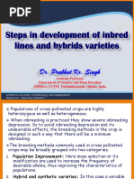 Hybrid Breeding Steps