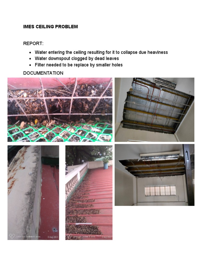Snapshot of Mis Leading Questions For Ceiling Replacements