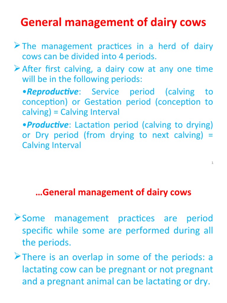 Dairy Cow Management: Reproductive Insights | PDF | Dairy Cattle | Cattle